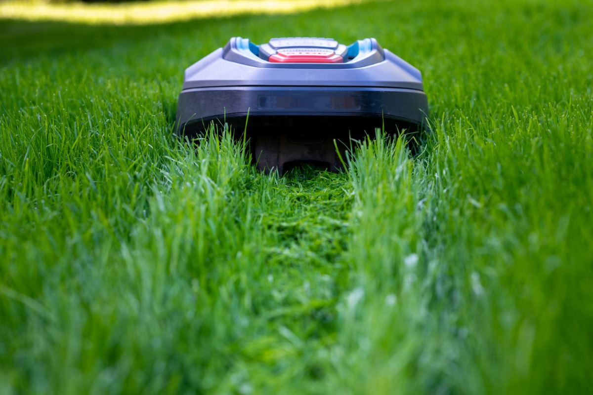 Robotic lawn mower cutting a path through lush green grass