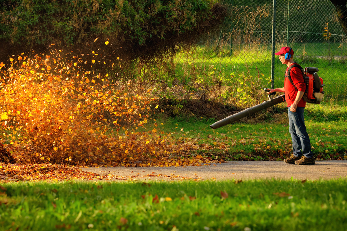 Person using leaf blower creating a swirling cloud of autumn leaves