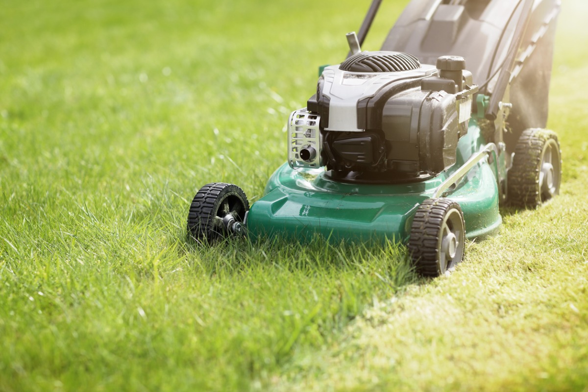 Green lawn mower cutting grass on a sunny day