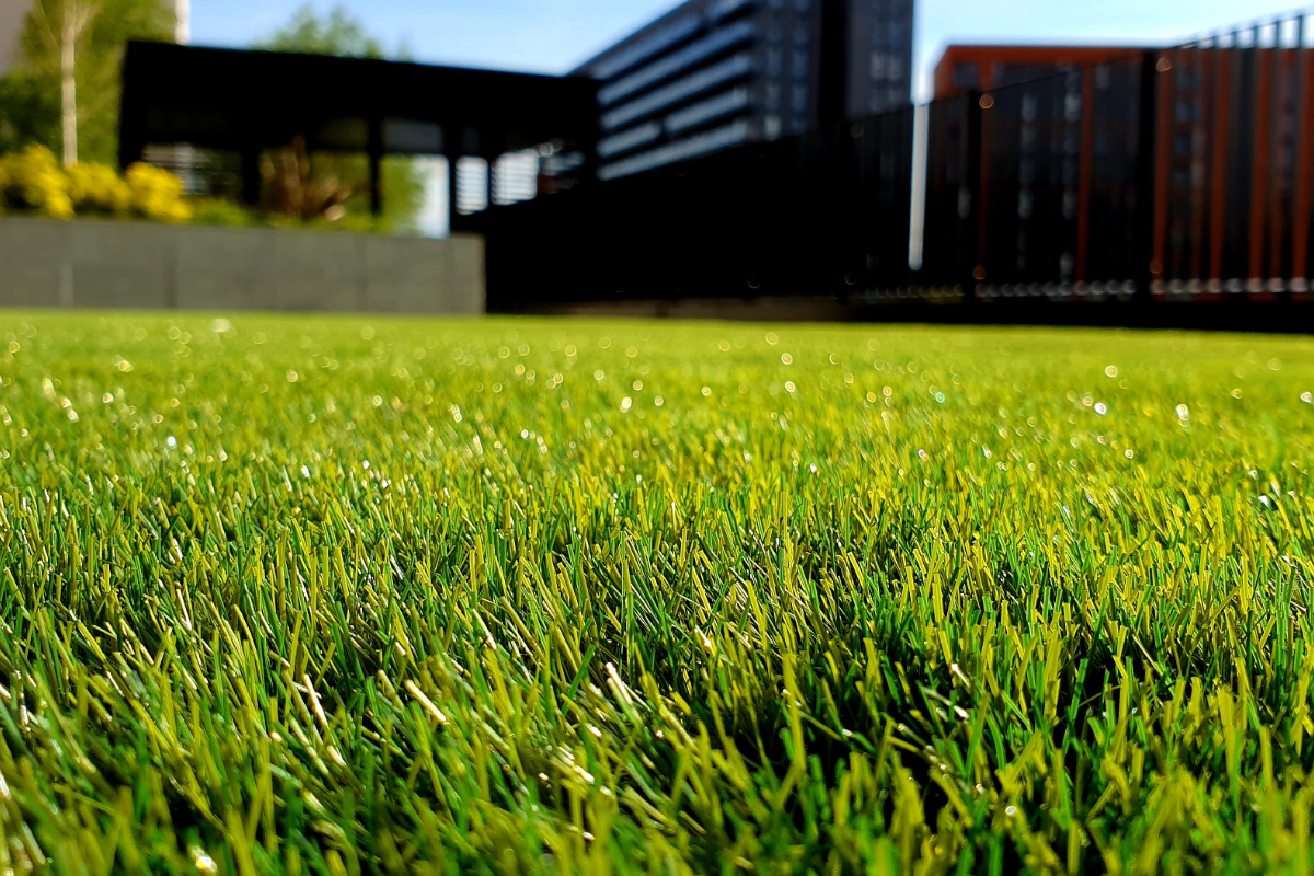 Close-up of vibrant green grass lawn with modern buildings in background