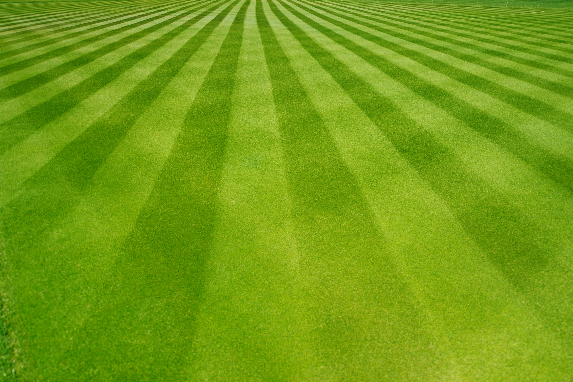Perfectly mowed lawn with alternating light and dark green stripes