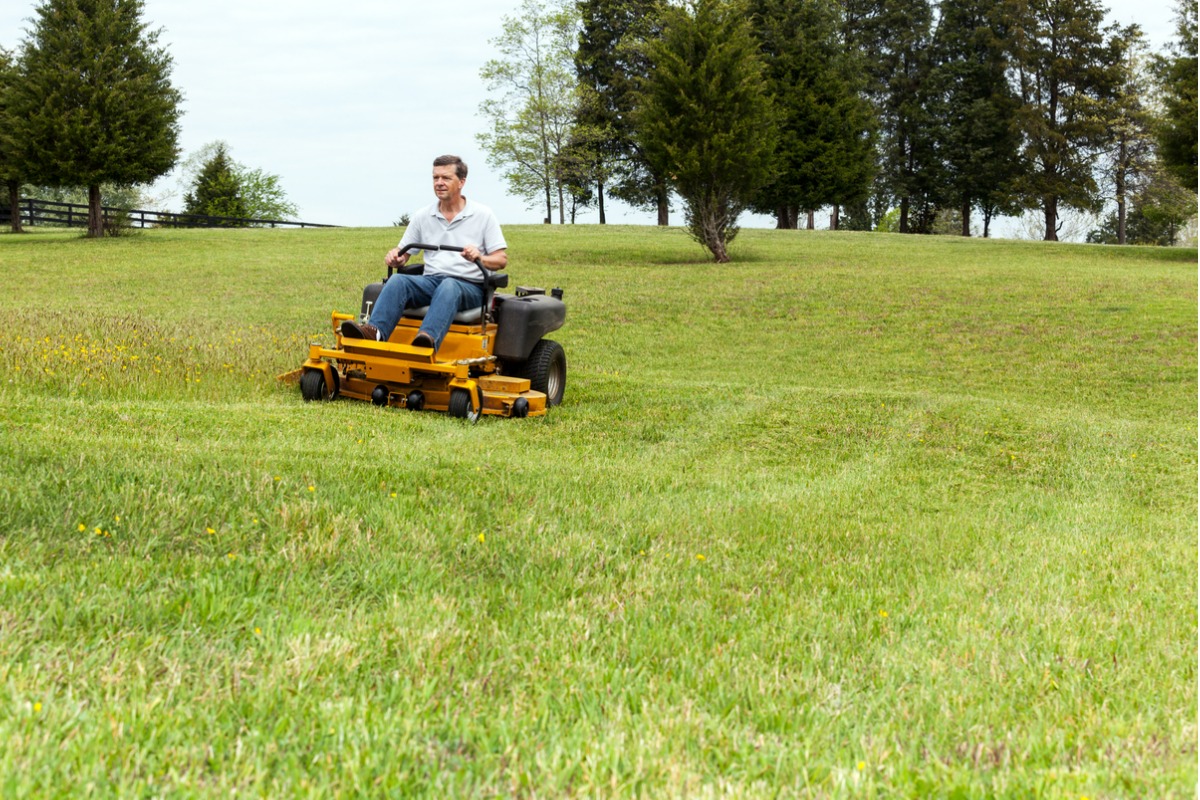 Yellow riding lawn mower cutting grass on a green field with trees