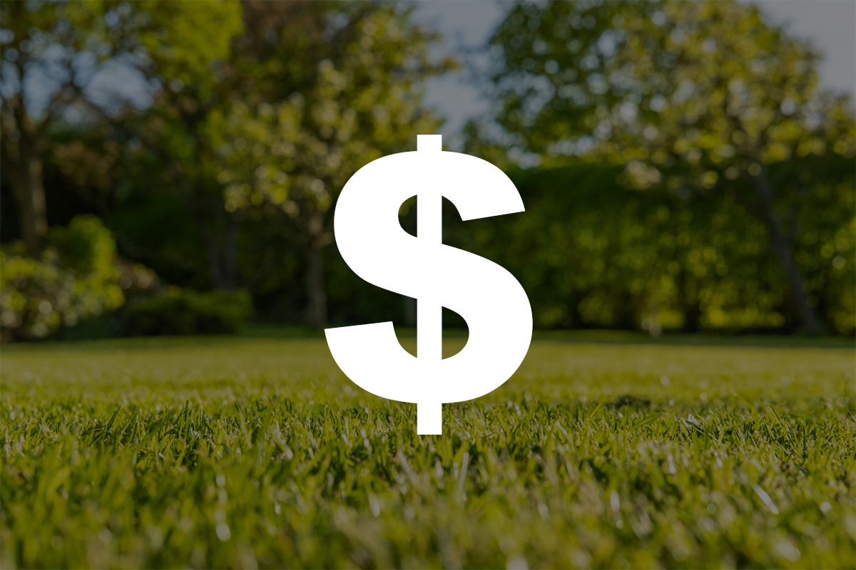 White dollar sign on lush green grass with trees in background