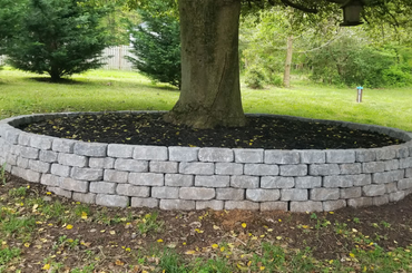 Stone circular wall around tree base in lush green park setting