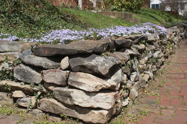 Stone retaining wall with purple flowering ground cover along brick path