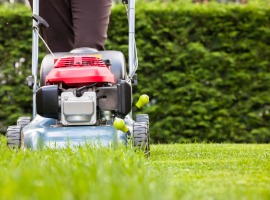 Lawn mower cutting green grass on a sunny day