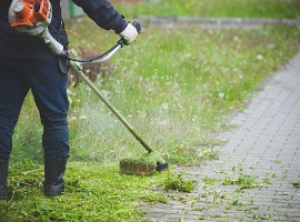 Person using string trimmer to cut grass along a paved pathway