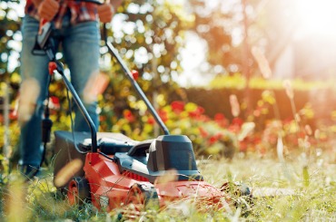 Person mowing lawn with red lawnmower on sunny autumn day