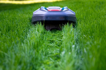 Robotic lawn mower cutting green grass in a well-maintained yard