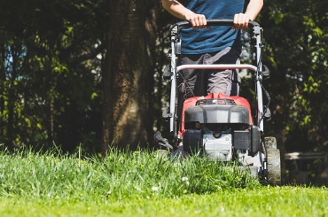 Person mowing green lawn with gas-powered push mower on sunny day