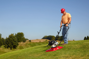 Person mowing green lawn with red lawn mower on sunny day