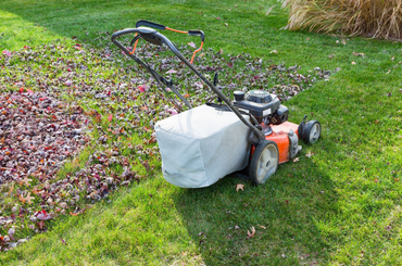 Gas-powered lawn mower on grass with fallen leaves and dry plants