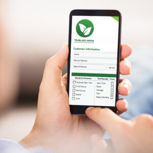 Hand holding smartphone with green customer information form on screen