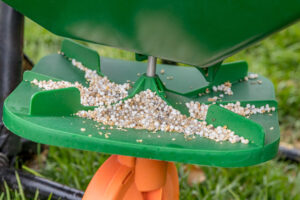 Green bird feeder with scattered birdseed on a blurry garden background