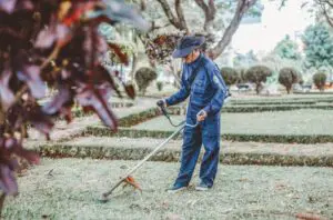 Worker in blue uniform raking leaves in a well-manicured garden