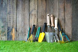 Garden tools and hand trowels leaning against weathered wooden fence