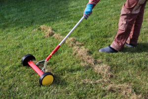 Manual push lawn mower cutting grass on a green lawn
