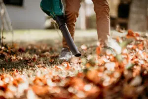 Person raking fallen autumn leaves on the ground