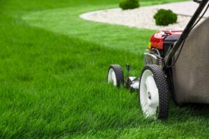 Red lawn mower cutting green grass on a sunny day