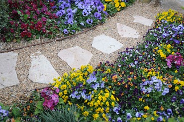 Winding stone path through colorful garden with purple, yellow, and red flowers