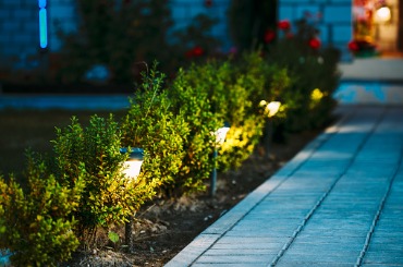 Illuminated garden pathway with small shrubs and yellow landscape lighting