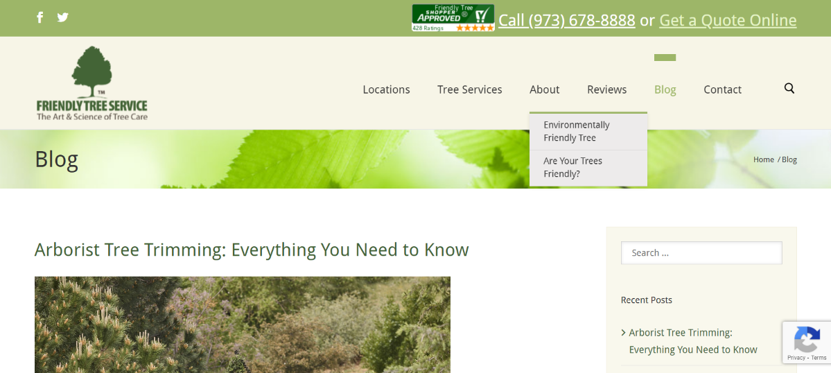 Dense forest with variety of trees and vegetation in natural setting