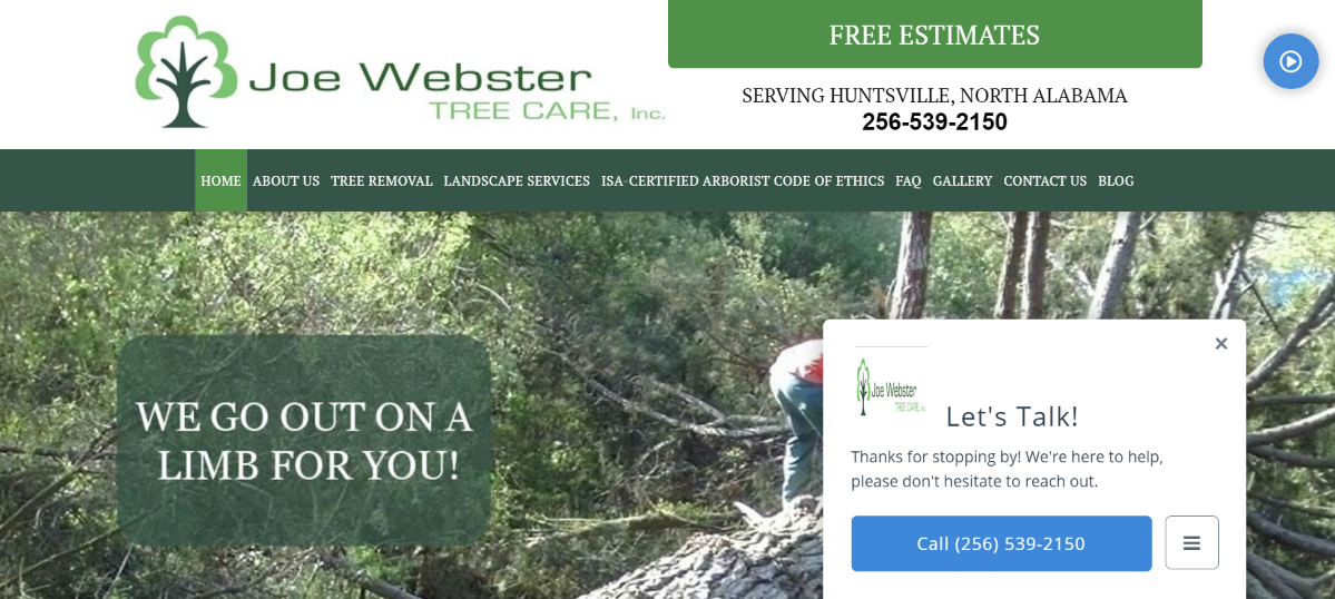 Tree care professional working in wooded area with fallen branches