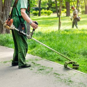 Worker trimming grass along path with string trimmer in green park
