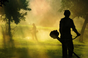 Silhouetted figure with helmet in misty forest with other shadowy person