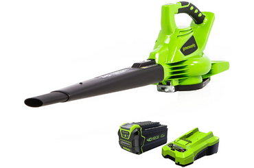 Bright green cordless leaf blower with battery and charger