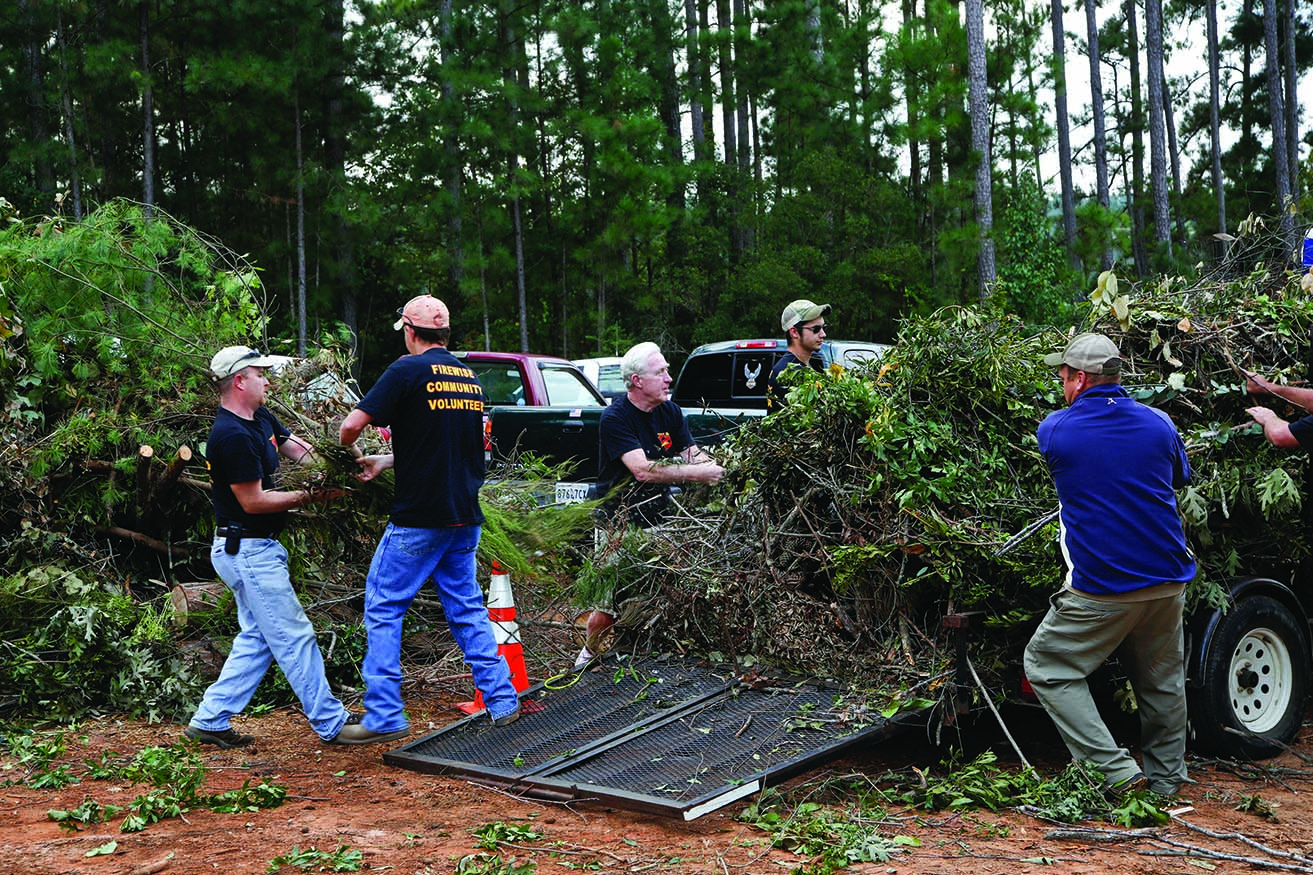 Community volunteers clearing fallen trees and branches after a storm