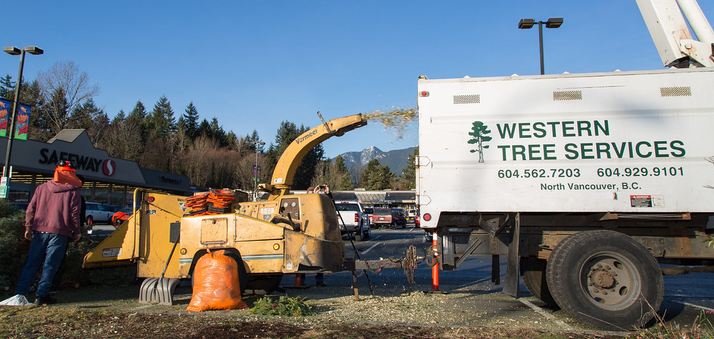 Wood chipper and truck from Western Tree Services in North Vancouver