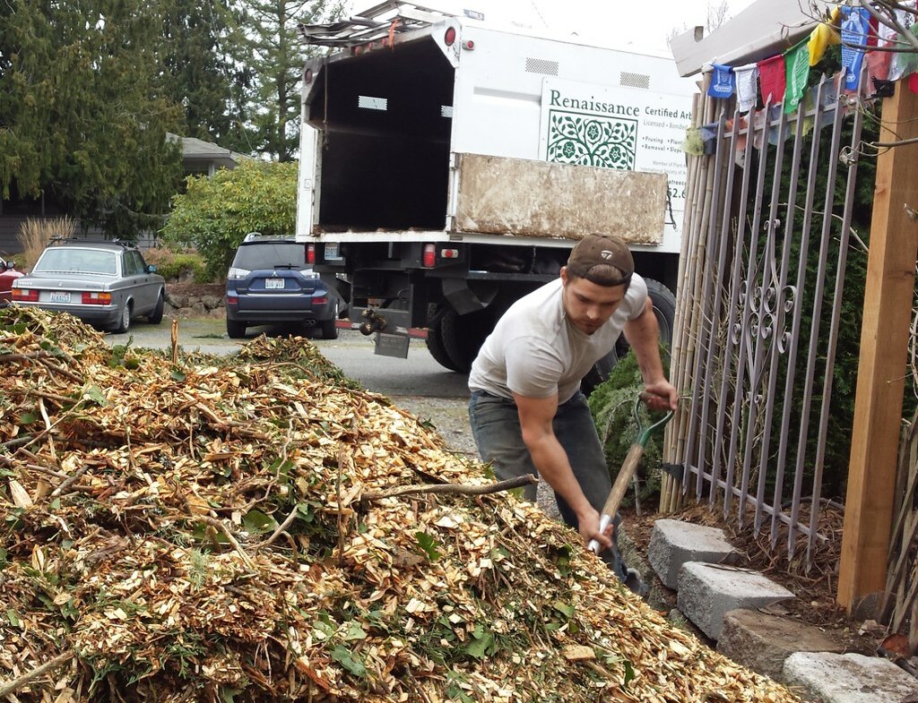 Worker shoveling large pile of leaves and debris next to truck