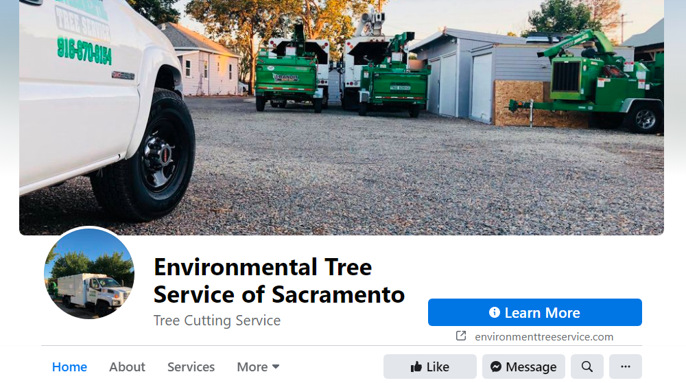 Green work trucks and vehicles parked on gravel at tree service yard