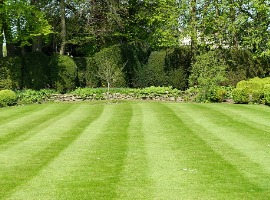 Perfectly manicured green lawn with striped mowing pattern surrounded by trees