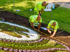 Landscapers in bright vests planting colorful flowers in decorative garden bed