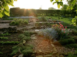Sunlit garden path with stones, moss, and colorful flowers at golden hour
