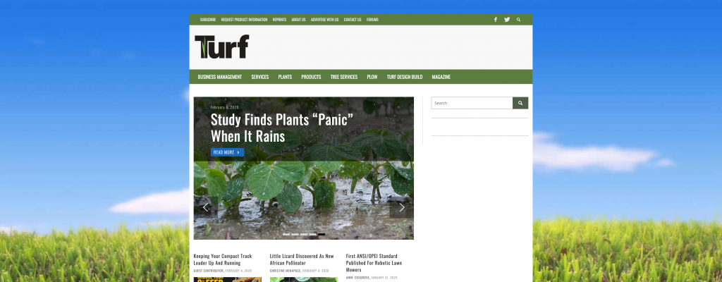 Plants submerged in water with article headline about plant panic during rain