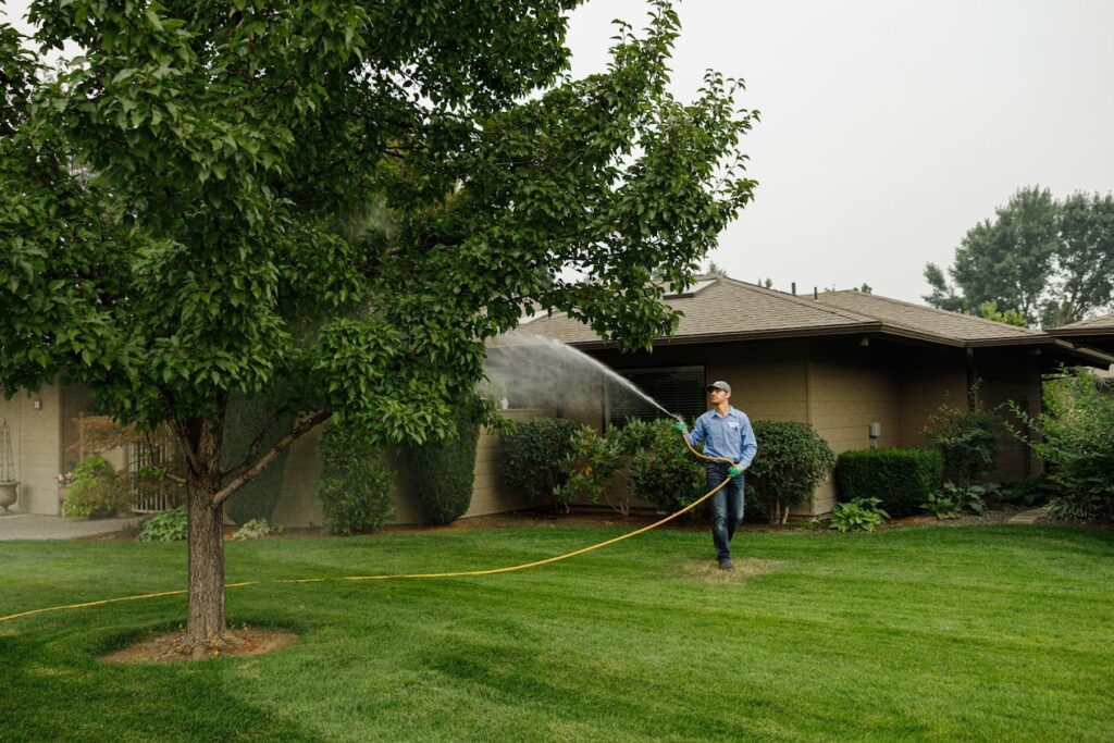 Person watering lawn with garden hose near tree and residential house