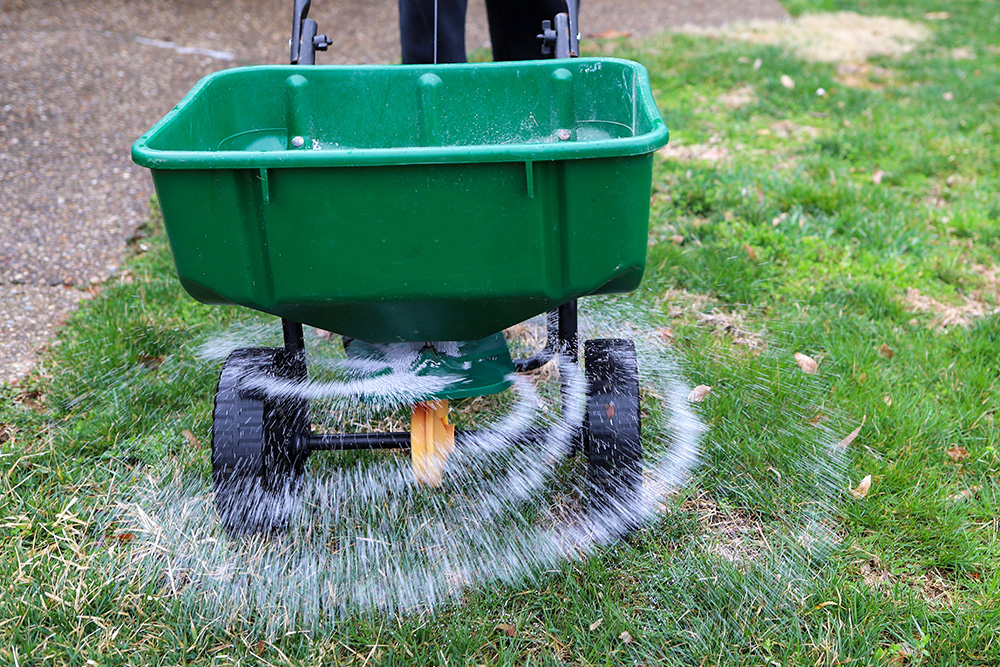 Green seed spreader spraying fertilizer in a circular pattern on lawn