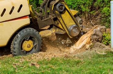 Yellow excavator digging and moving dirt on grassy ground
