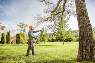 Arborist trimming tree branch with pruning saw in grassy backyard