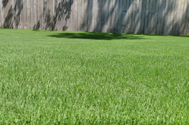Lush green lawn with wooden fence casting shadows on grass