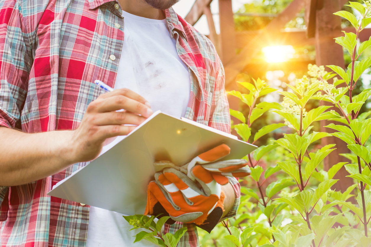 Gardener in plaid shirt taking notes near green plants with sunlight