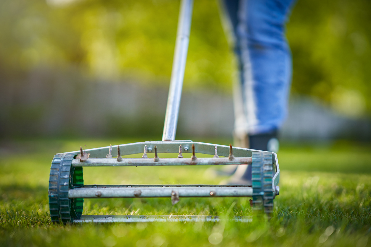 Manual lawn aerator on green grass with person's legs in background