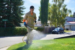 Person watering lawn with garden hose on a sunny residential street