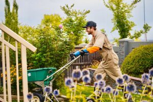 Gardener trimming plants near blue flowers with wheelbarrow in background
