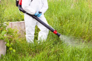 Person in protective gear spraying herbicide on weedy grass area