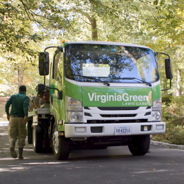 Green Virginia Green garbage truck parked on wooded street