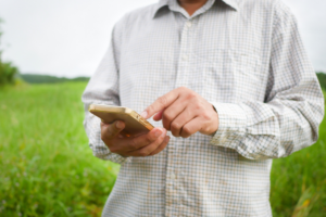 Person in field using mobile phone, green grass in background